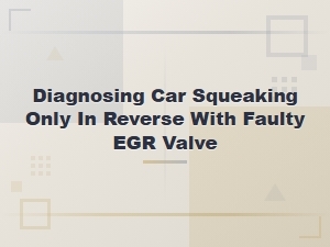 Diagnosing Car Squeaking Only in Reverse Caused by a Faulty Egr Valve