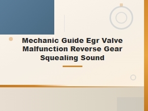 Egr Valve Malfunction: Mechanic Guide to Reverse Gear Squealing Sounds