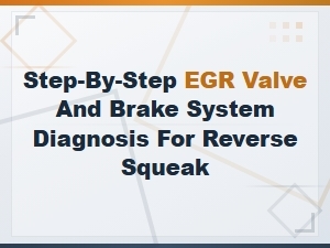 Step-By-Step Egr Valve and Brake System Diagnosis for Reverse Squeak Noise